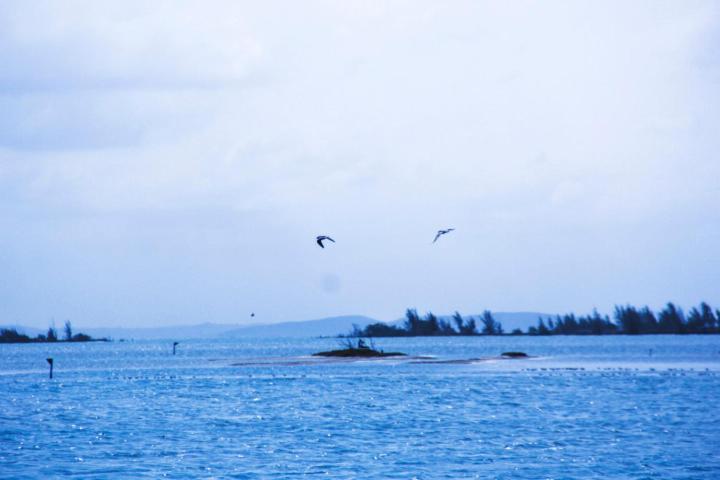 Apartamento Arraial Do Cabo Com Vista Para A Lagoa - Golden Lake Ngoại thất bức ảnh